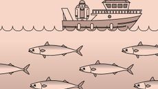 Speed Data topic image