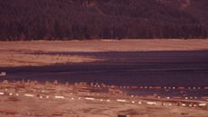 Finanical Crisis topic image