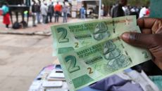 Zimbabwe topic image