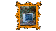 The Culture Newsletter topic image
