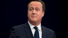 David Cameron topic image