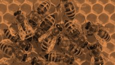 Food and Drink topic image