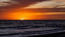 Beyond Borders topic image