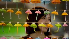 News for Today topic image