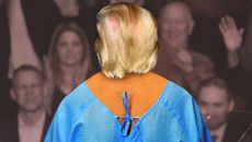 United States topic image