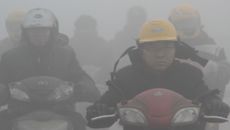 Netherlands topic image