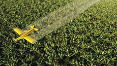 Beyond Borders topic image