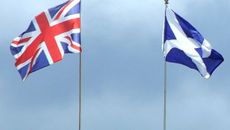 AC Grayling topic image