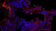 Neuroscience topic image