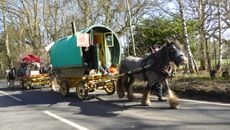 Discrimination topic image