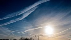 Green Party topic image