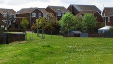 Simon Jenkins topic image