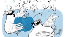 Migration topic image