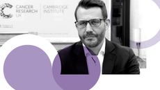 Politics topic image