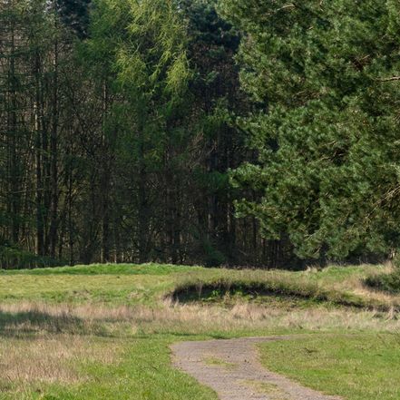 Southwood Country Park in Farnborough, Hampshire, previously a golf course, now a local area of green space © Gillian Pullinger / Alamy Stock Photo