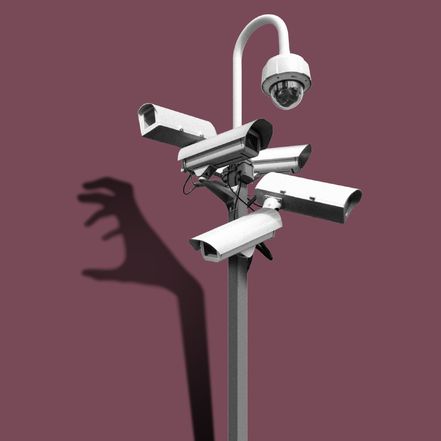 Illustration by Mike Turner. Sources: Alamy/Shutterstock