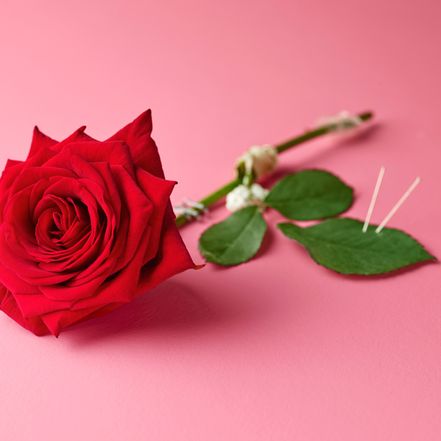 Photography for Prospect by Sara Morris