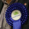 Voting-image